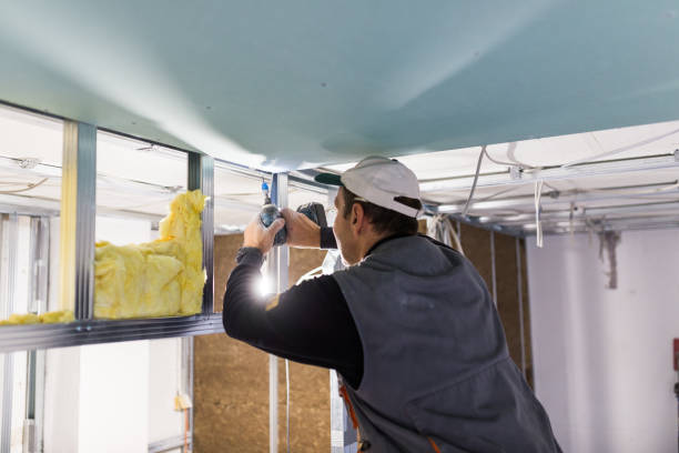 Best Commercial Insulation in Siesta Acres, TX