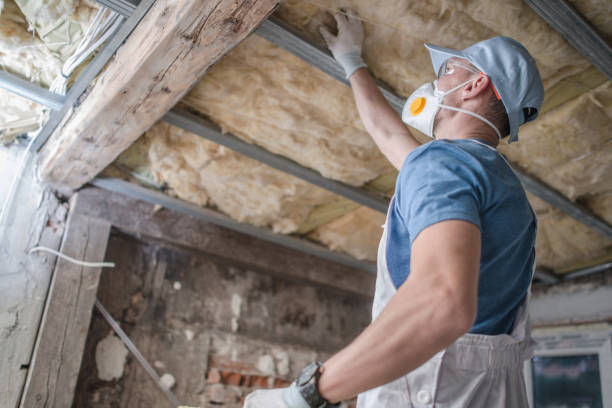 Best Blown-in Insulation in Siesta Acres, TX