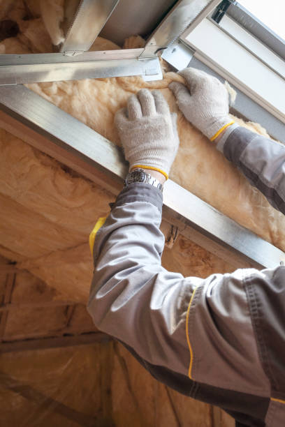 Best Spray Foam Insulation in Siesta Acres, TX