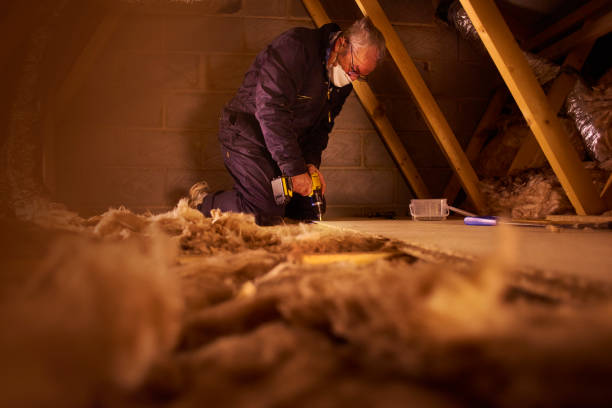 Best Cellulose Insulation in Siesta Acres, TX